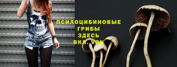 трава Арсеньев