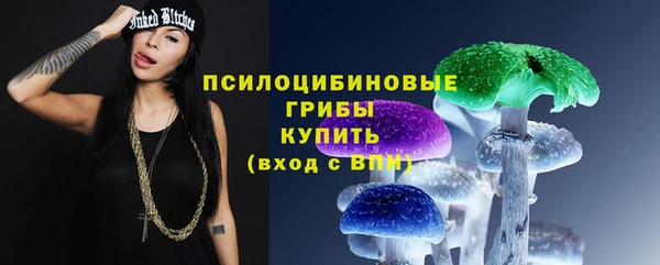 спайс Аркадак