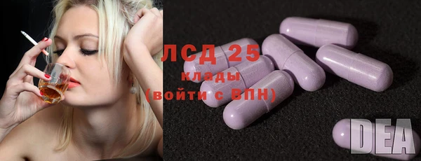 спайс Аркадак