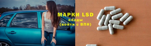 спайс Аркадак