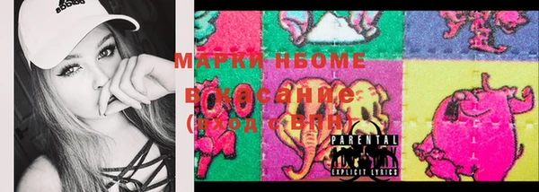 шишки Инсар