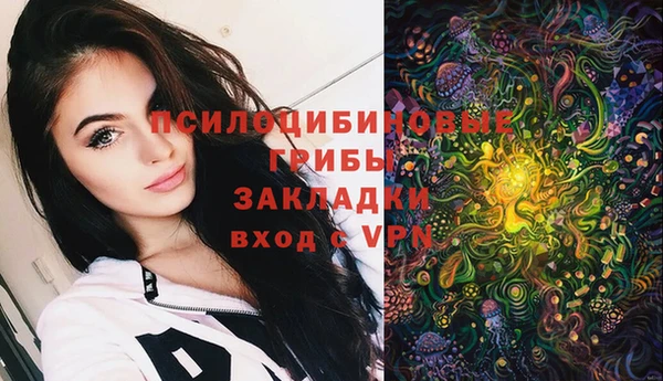 спайс Аркадак