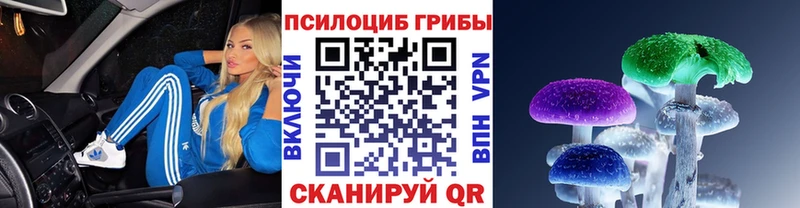 Купить где  Новопавловск  Галлюциногенные грибы GOLDEN TEACHER 
